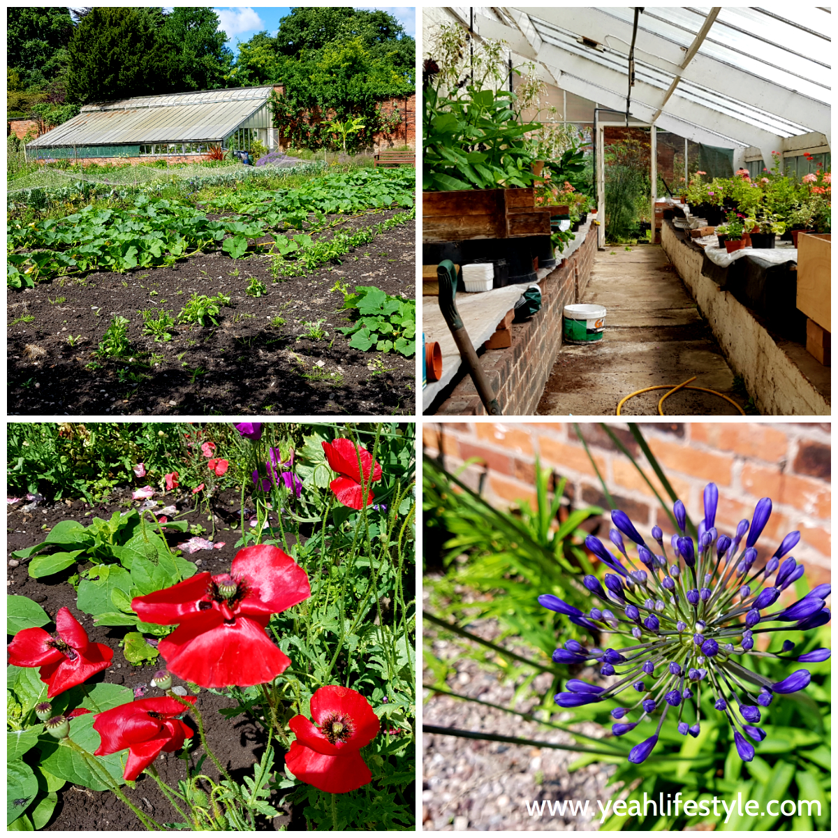 Rode Hall and Gardens Yeah Lifestyle Cheshire Review Famous Blogger
