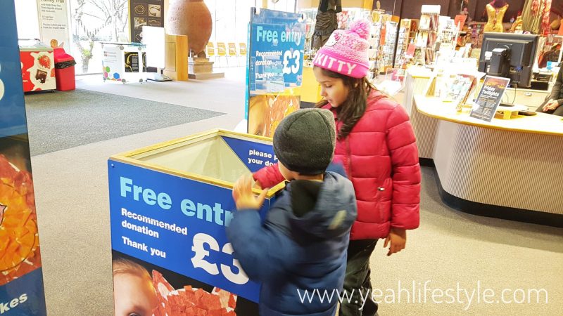 Hanley-Museum-Kids-Activity-Stokeontrent-Staffordshire-Blogger-Travel-Donation