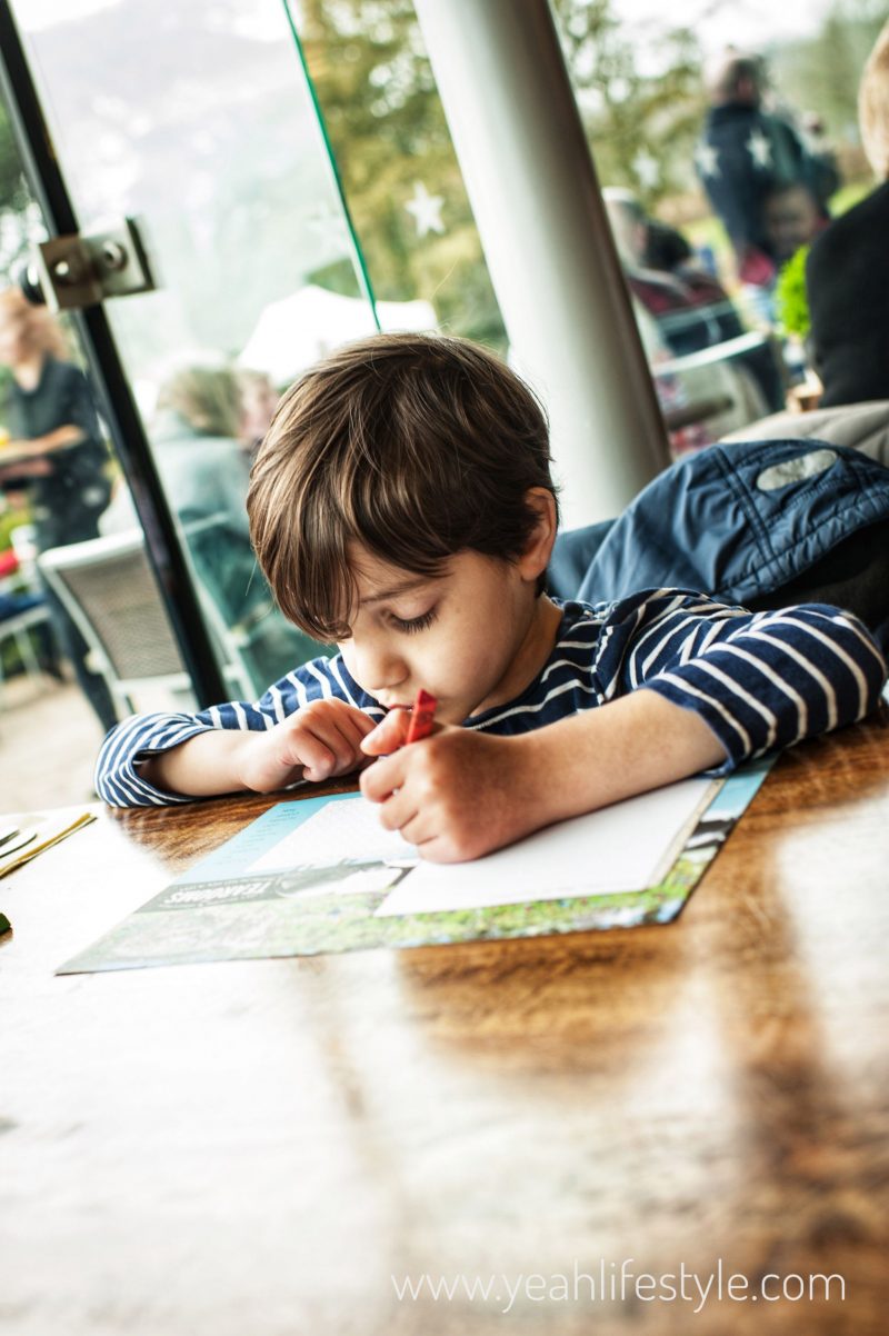Trentham-Gardens-Staffordshire-Family-Blogger-UK-Kids-Cafe-Kids-Activity