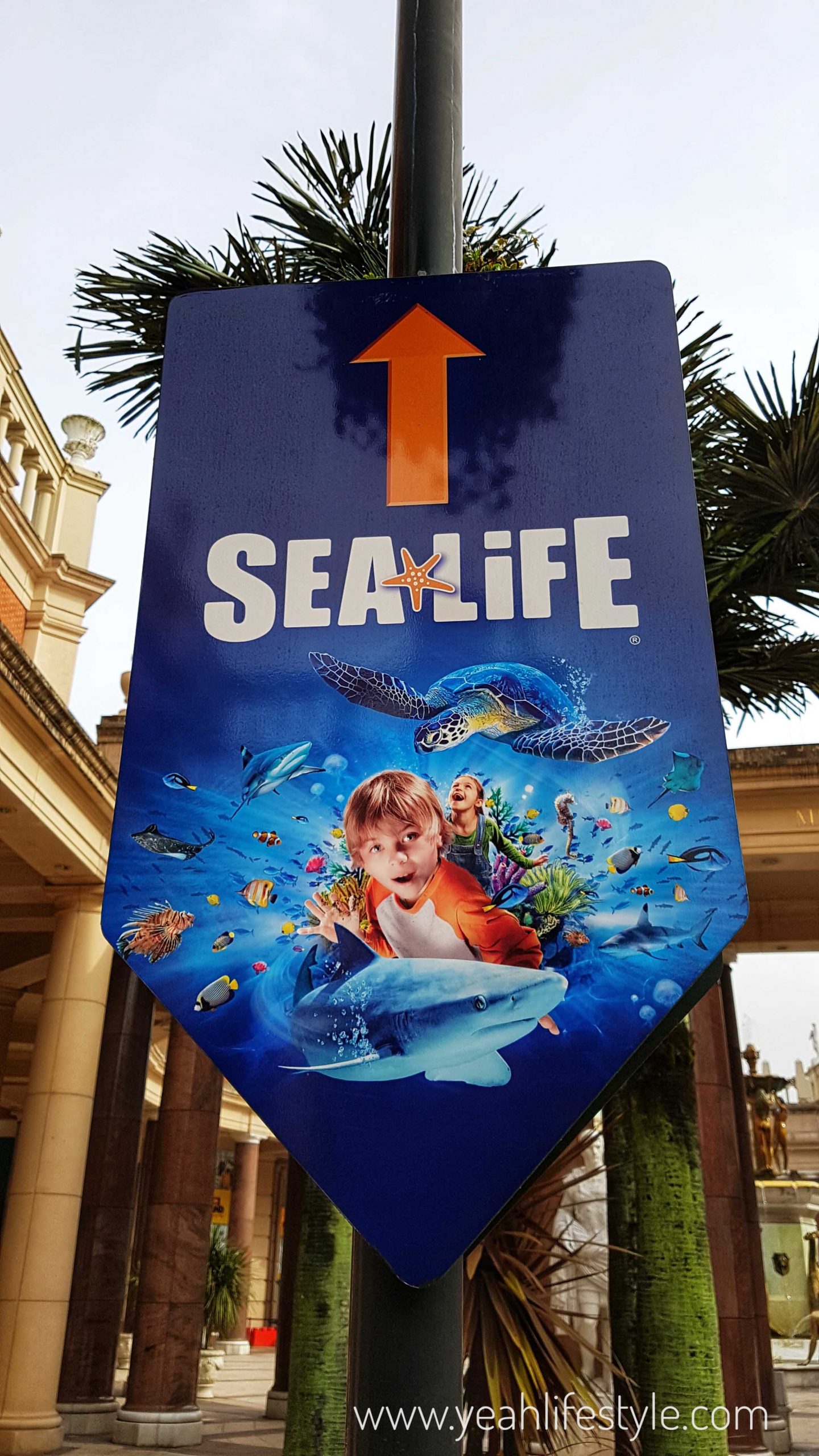 Fun Family Day Out at Sea Life Manchester