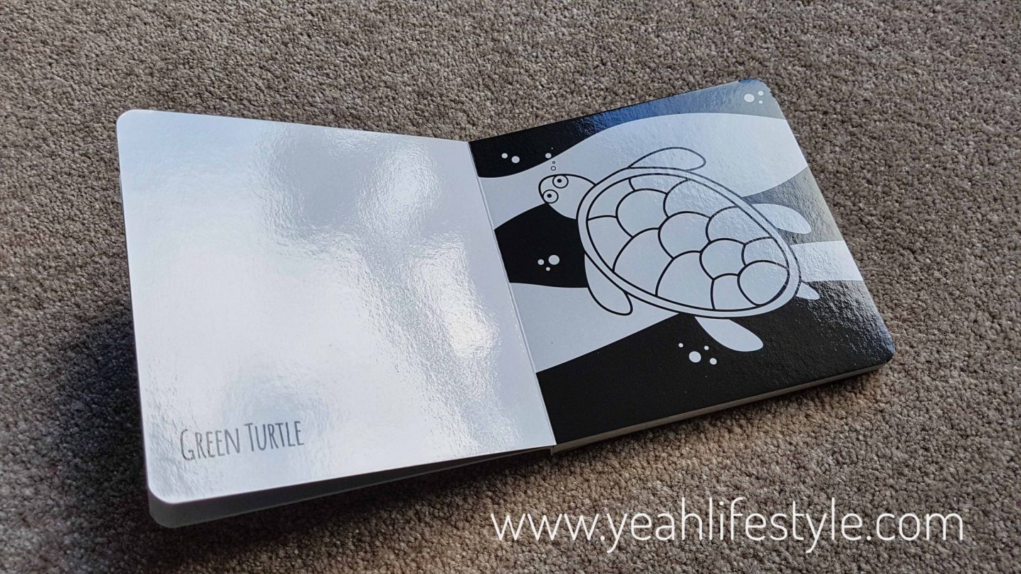 Black-and-White-Book-Project-Flash-Cards-Blogger-Review-Mum-Kid-Australia