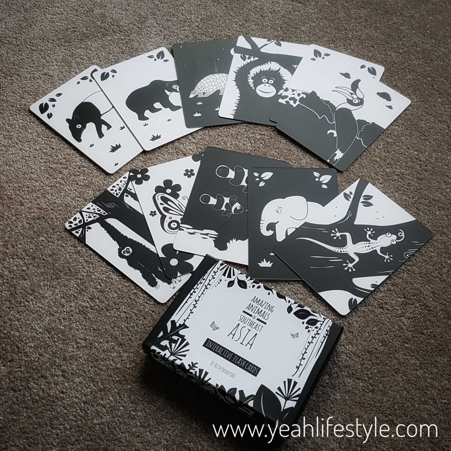 Black-and-White-Book-Project-Flash-Cards-Blogger-Review-Mum-Kid-Southeast-Asia