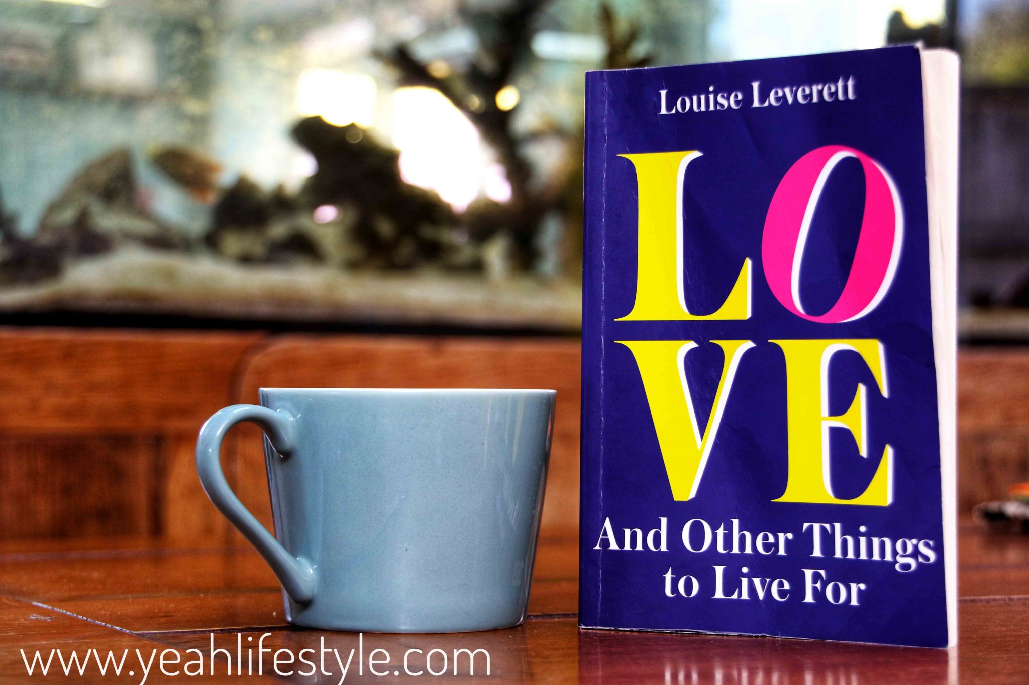 Book-Review-Louise-Leverett-Love-Other-Things-Live-For-Blogger