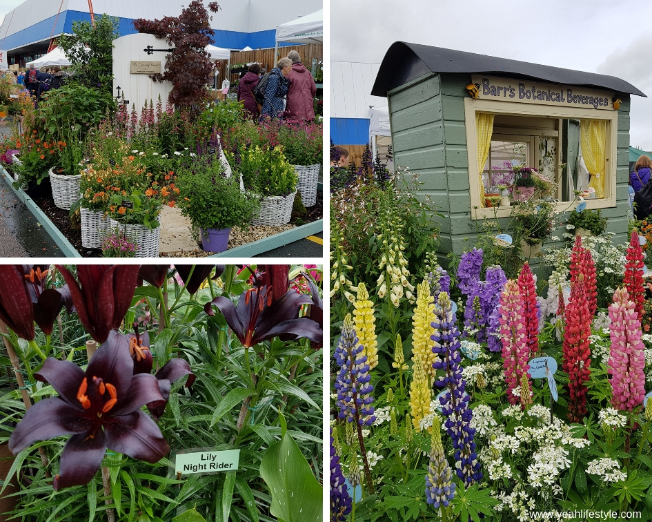 Review: BBC Good Food Show Summer & BBC Gardeners' World Live 2019