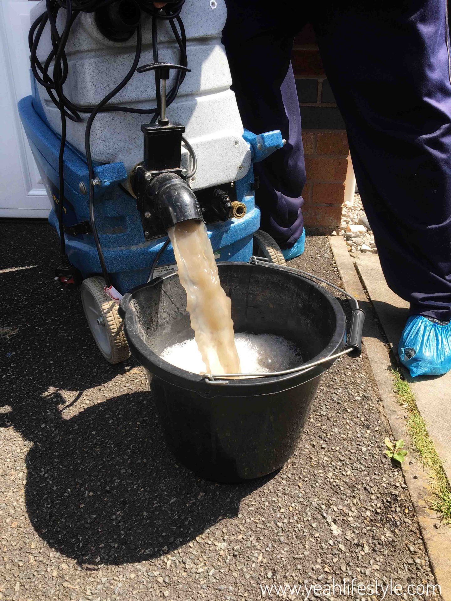 Review of Carpet Cleaning by Fantastic Services