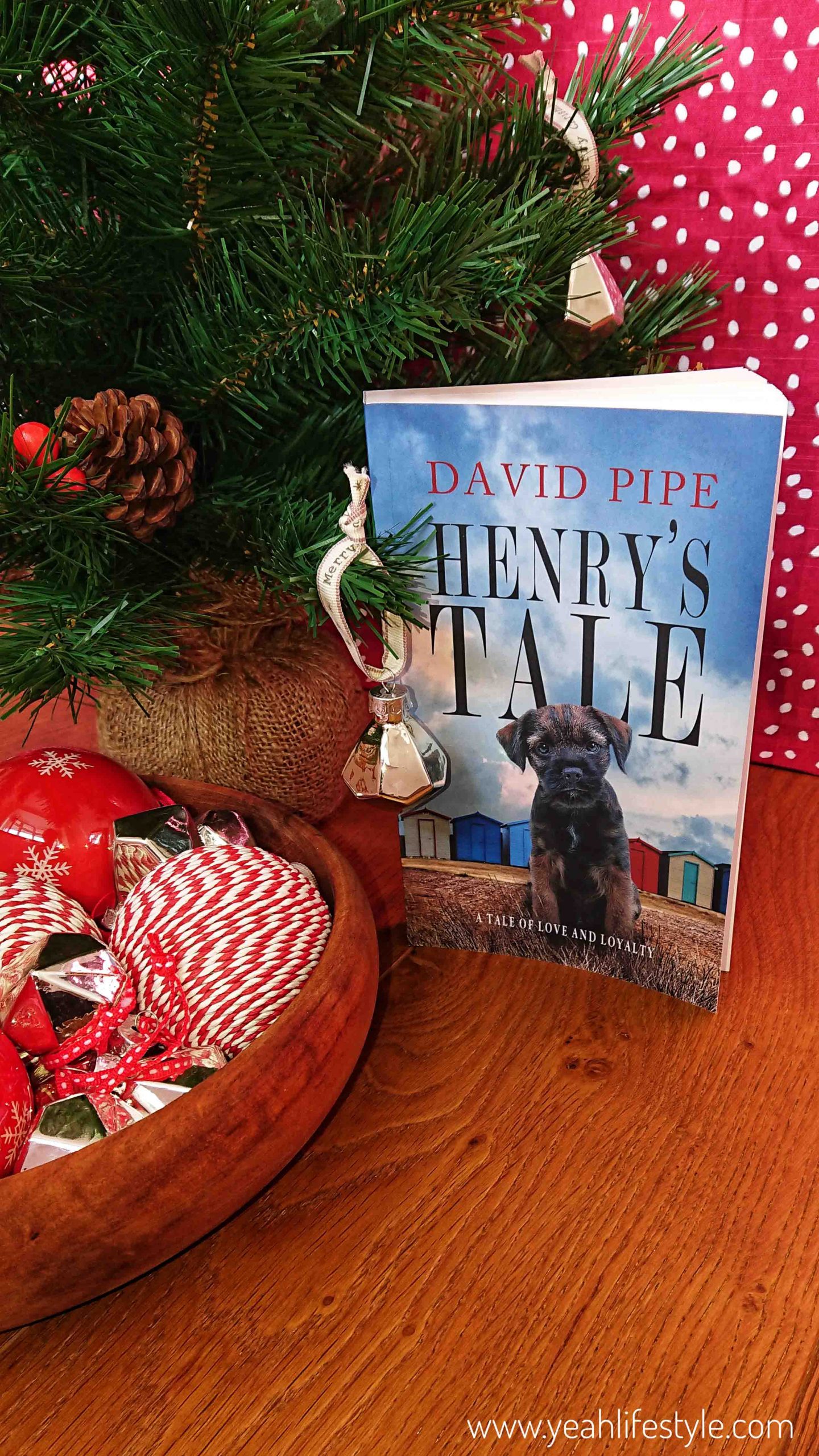 Christmas Gift Guide - Books for Adults