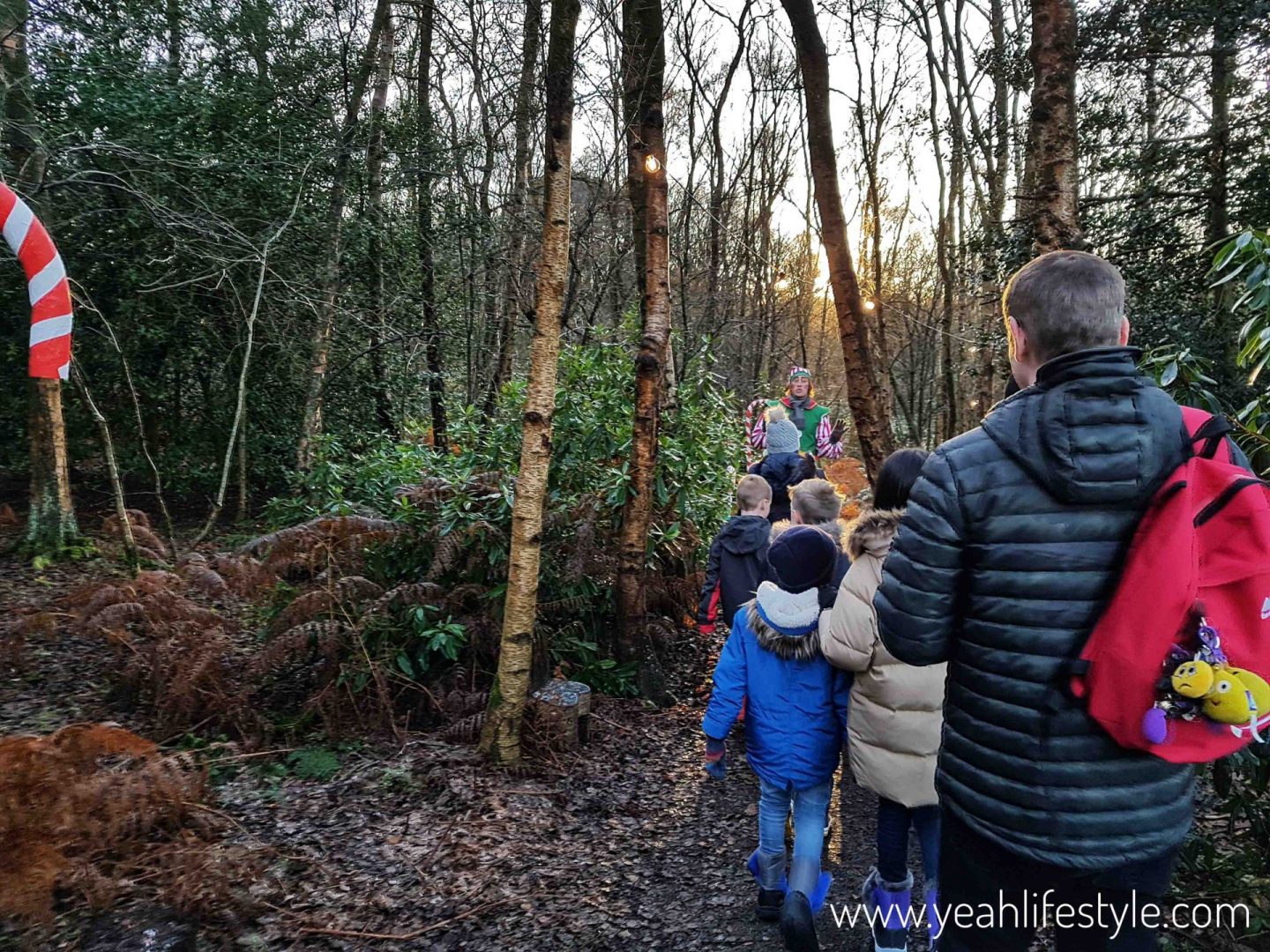 Magical Christmas Woodland Adventure at Blakemere