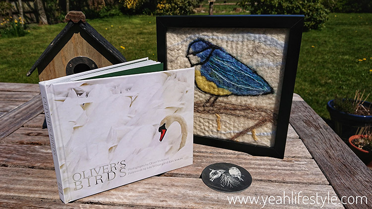 Book Review: Oliver’s Birds by Oliver Hellowell