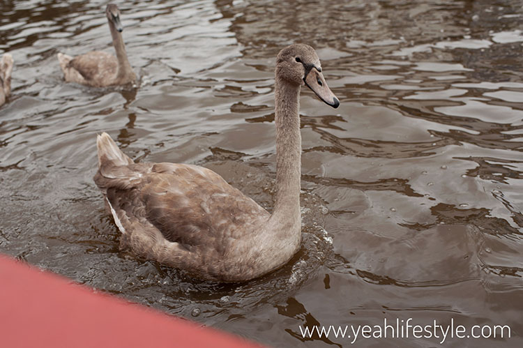 Family Days Out in Skipton, Yorkshire Dales
