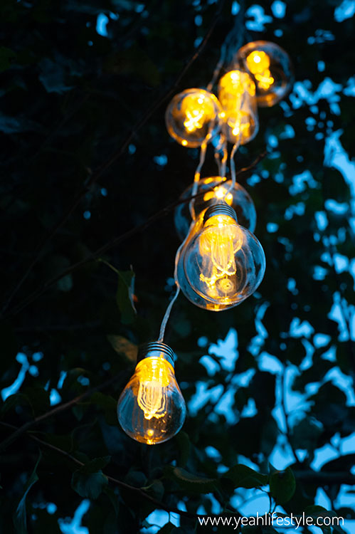 Autumn Themed Guide for the Home and Garden