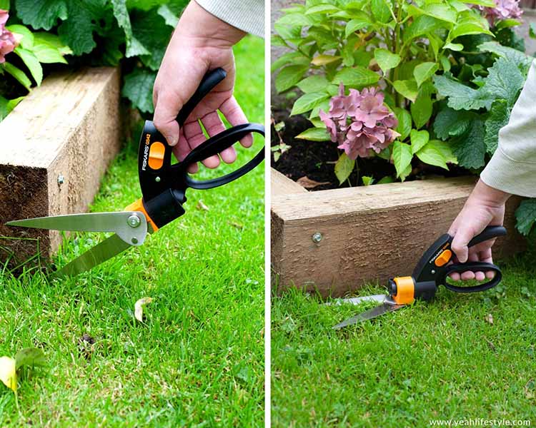 Autumn Themed Guide for the Home and Garden
