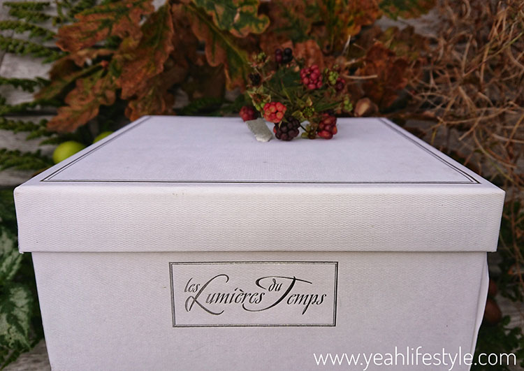 Giveaway & Review: Cashmere 3 Wick Luxe Candle from Lumieres