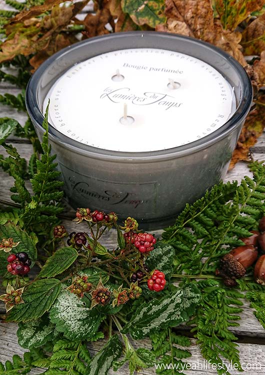 Giveaway & Review: Cashmere 3 Wick Luxe Candle from Lumieres