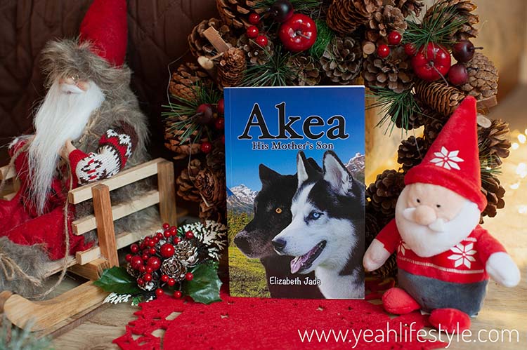 Christmas Gift Guide - Children's Book Gift Ideas