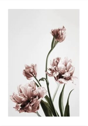 Review: Desenio Gallery Wall Art Prints and Frame