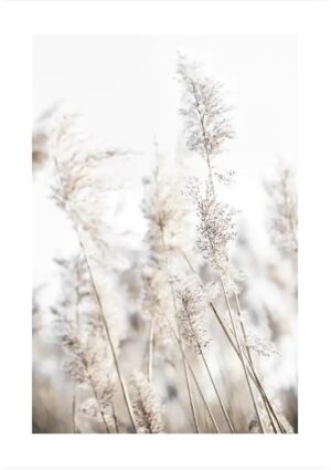Review: Desenio Gallery Wall Art Prints and Frame