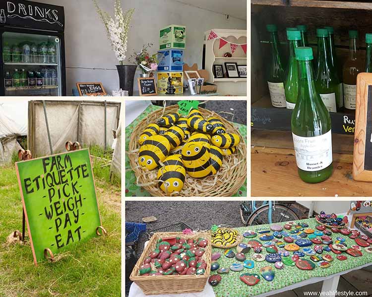 Family Day Out Review: Woore Fruit Farm to Pick Strawberries