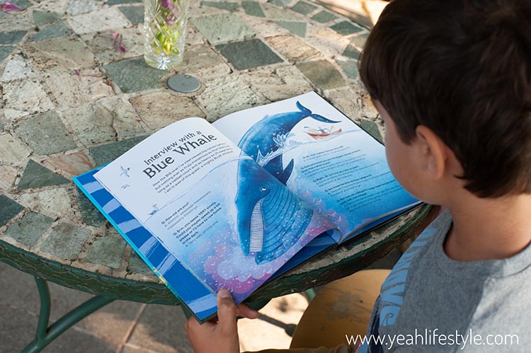 Children's Book Review: Interview with A Shark & Other Ocean Giants Too
