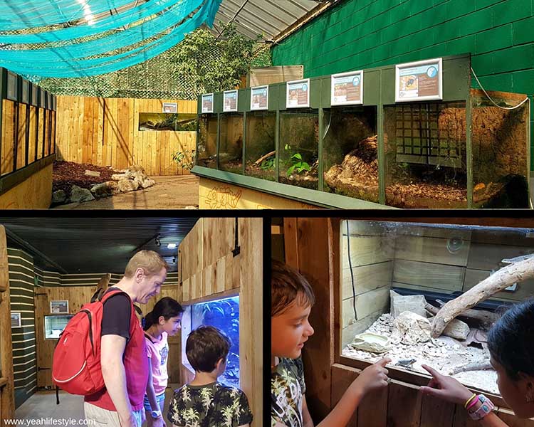 Family Day Out Review: Stratford-Upon-Avon Butterfly Farm