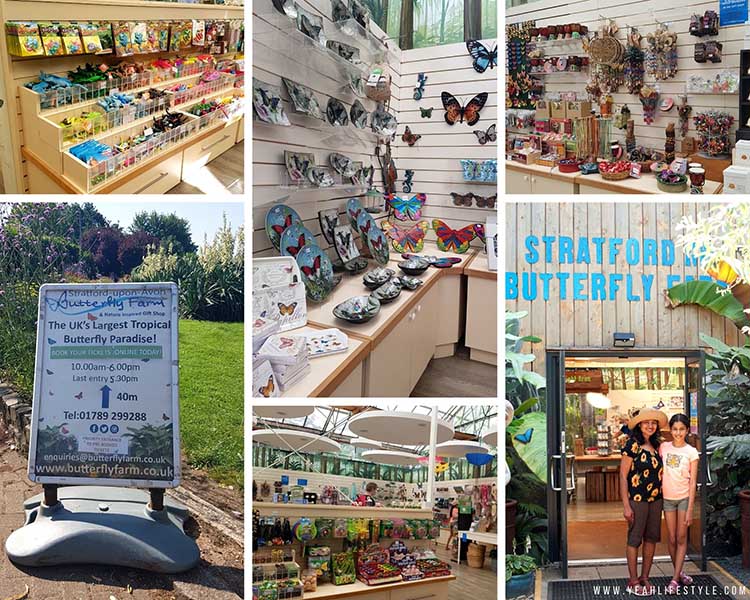 Family Day Out Review: Stratford-Upon-Avon Butterfly Farm