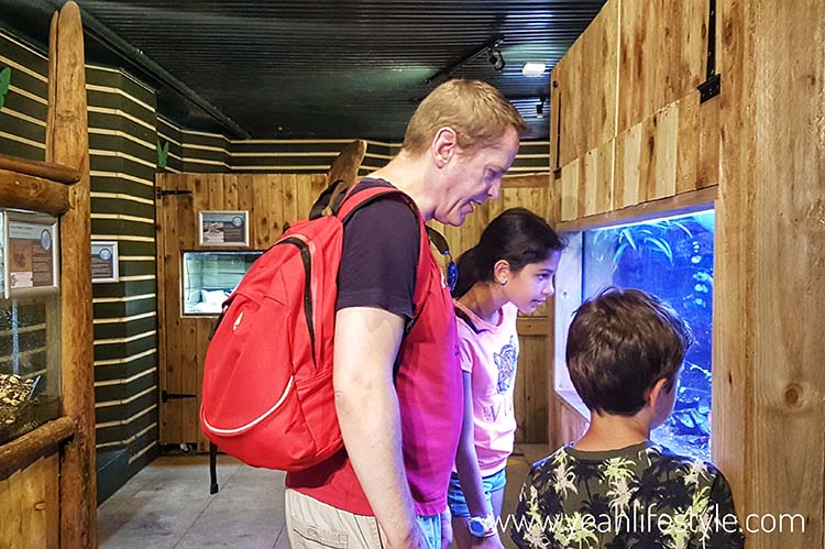 Family Day Out Review: Stratford-Upon-Avon Butterfly Farm