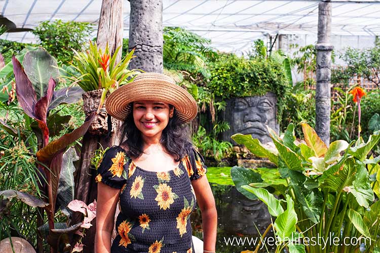 Family Day Out Review: Stratford-Upon-Avon Butterfly Farm