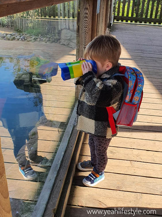 Children's Toy Review: GeoSafari Jr. Kidnoculars