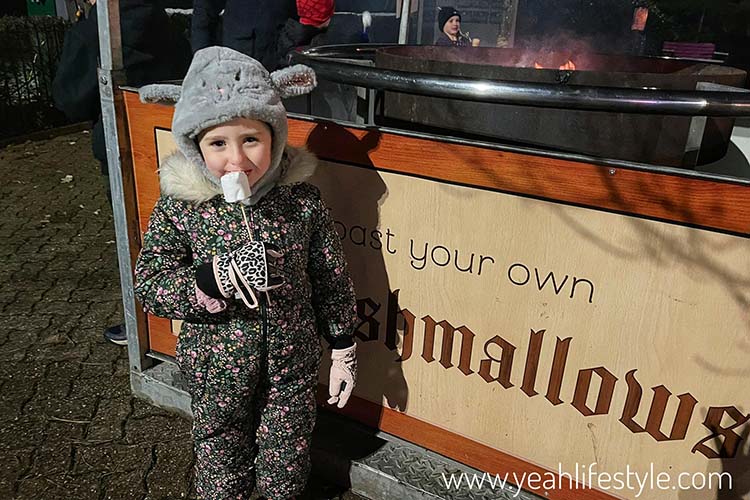 Review: Alton Towers Festive Family Days Out