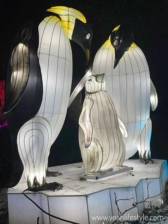 Review: Alton Towers Festive Family Days Out