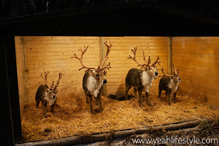 Review: Family Day Out at Winter Wonderland CONKERS