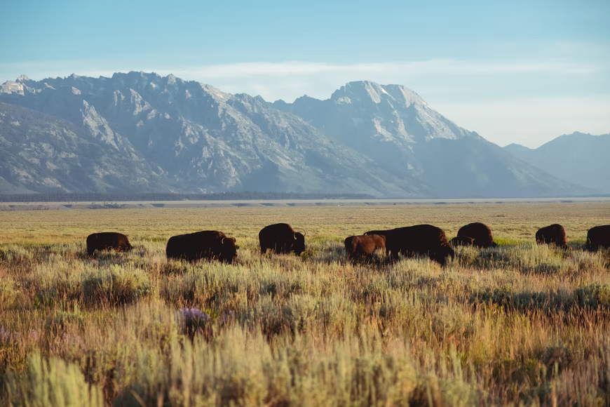 Why Oklahoma Should Be Your Next Holiday Destination