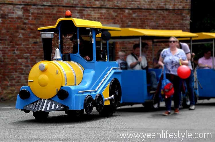 Family Day Out Review: Reaseheath Family Festival 100