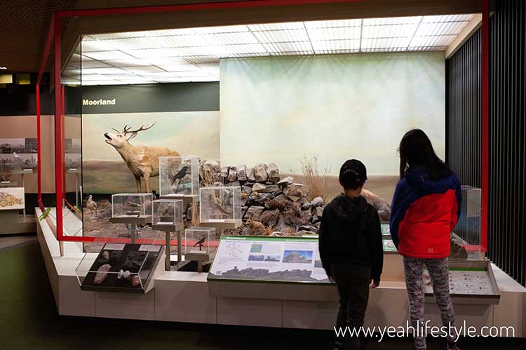 Family Day Out Review: Potteries Museum & Art Gallery