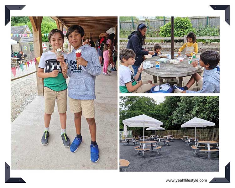 Picnic at Peak Wildlife