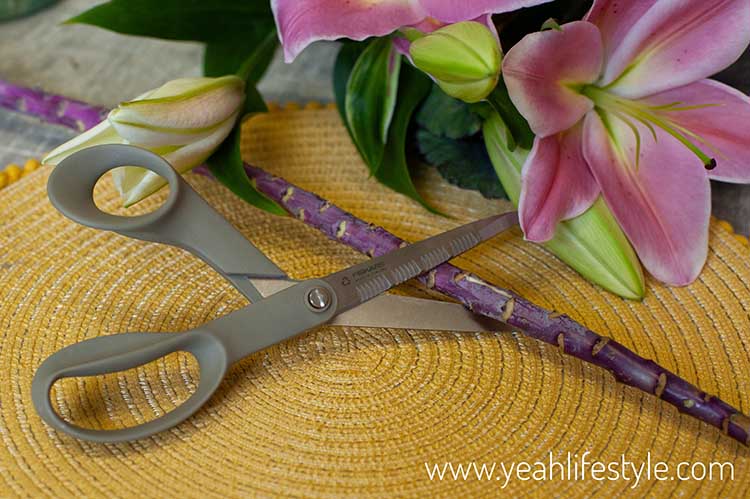 Autumn Gift Guide Garden Scissors