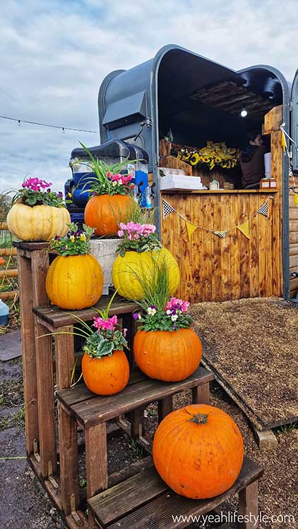 Cafe at Libbys Pumpkin Patch