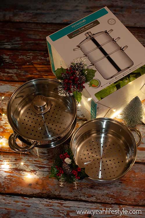 Christmas Gift Guide Home Steamer