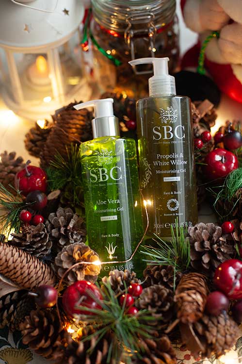 Christmas Gift Ideas Aloe Vera Hair