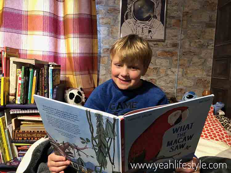 What the Macaw Saw Book