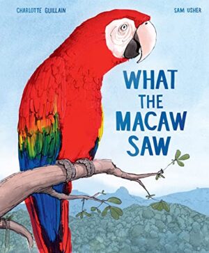 What the Macaw Saw Book