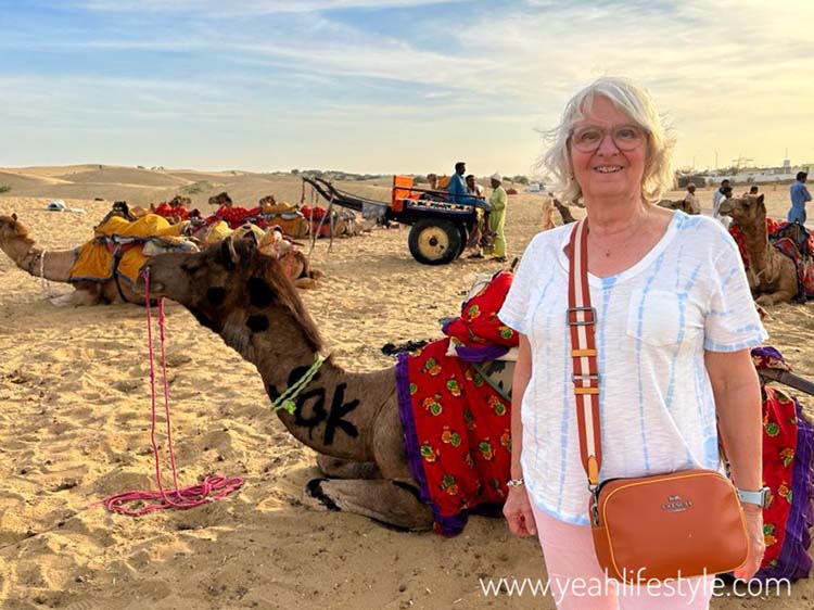 India’s Golden Triangle with V Care Tours Jaipur