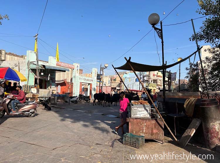 India’s Golden Triangle with V Care Tours Jaipur