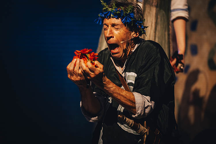 Cast of A Midsummer Night’s Dream at Stafford Gatehouse Theatre
