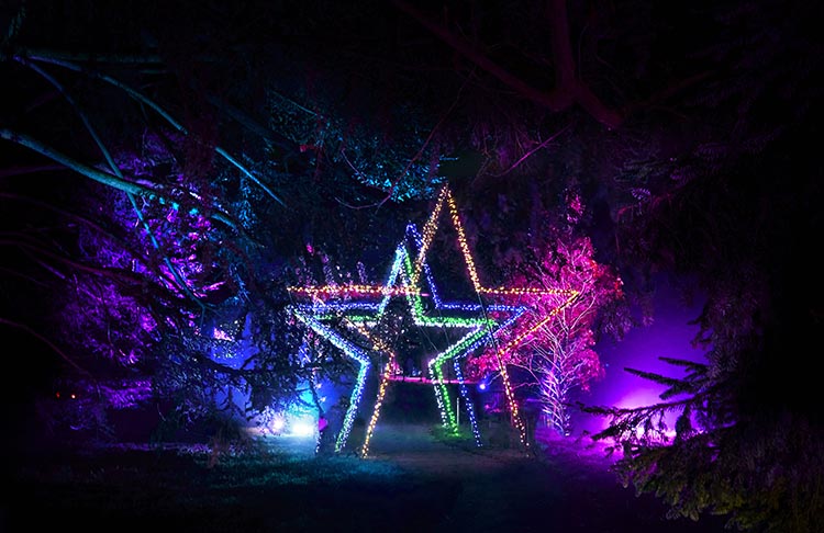 Christmas at Dunham Massey 2023