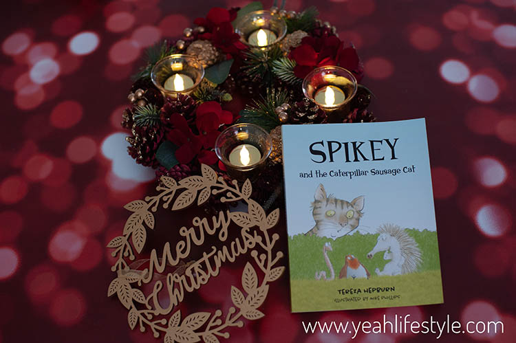 Christmas Gift Guide – Children’s Book Gift Suggestions
