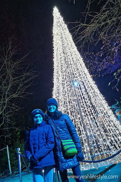 Christmas Lights at Dunham Massey 2023