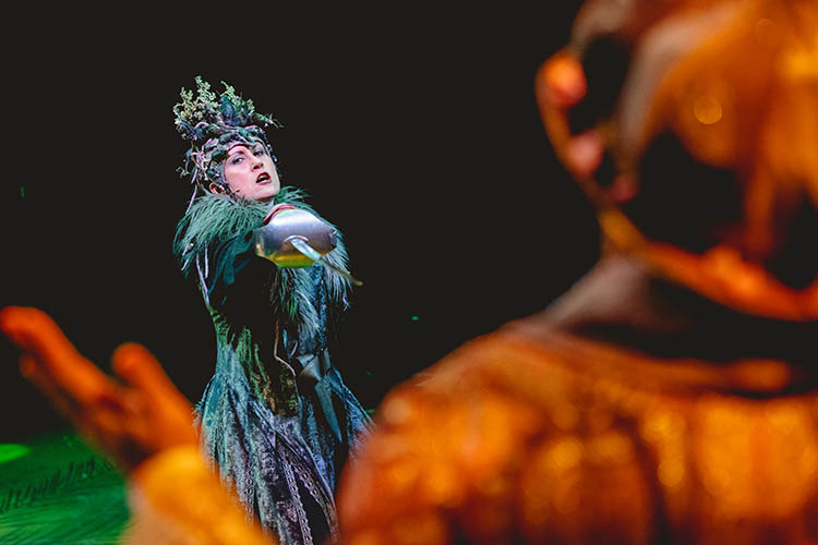 Cast of The Nutcracker- A Christmas Fairytale at New Vic Theatre