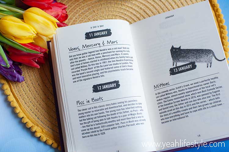 Book Review: Battersea Dogs and Cats Home - A Cat A Day