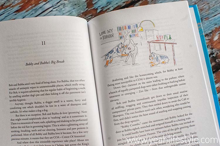 Children's Book Review: Bobby and Bubba‘s Small Adventures