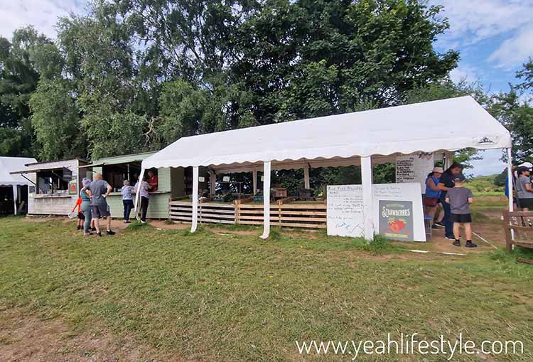 Family Day Out Review: Bearstone Fruit Farm